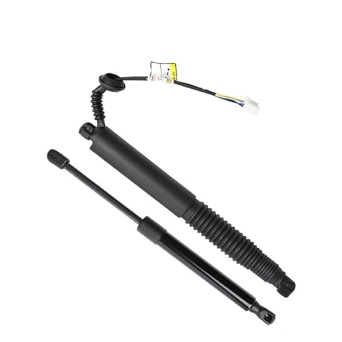 QIFHFBA Gasdruckfeder Für Tesla Für Modell 3 155148898B Elektrische Lift Unterstützung Power Heckklappe Power Hatch Heckklappe Opener Federbein Heckklappe Gasfeder Gasdruckfeder Lift Stützen(rechts) QIFHFBA Gasdruckfeder Für Tesla Für Modell 3 155148898B Elektrische Lift Unterstützung Power Heckklappe Power Hatch Heckklappe Opener Federbein Heckklappe Gasfeder Gasdruckfeder Lift Stützen(rechts) von QIFHFBA