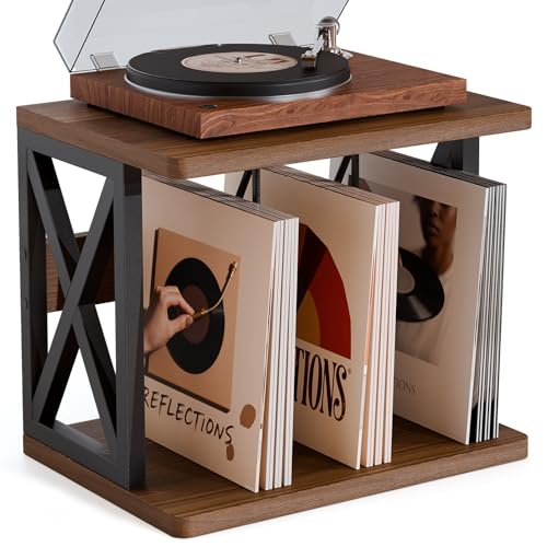 QILICHZ Plattenspieler-Ständer, 2-stöckiger Plattenhalter, 80–100 lps Schallplatten-Aufbewahrung, Holz-Schallplatten-Spielertisch, Plattenständer, Vinyl-Halter für Zeitschriften, Bücher, Akten, Alben von QILICHZ
