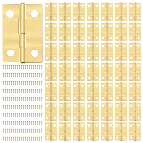 Klein Scharniere Mini Scharniere mit 200 Stücke Schrauben für Holz-Schmuckschatulle Gold 24 x 16mm 50 Stück von QIMEI-SHOP