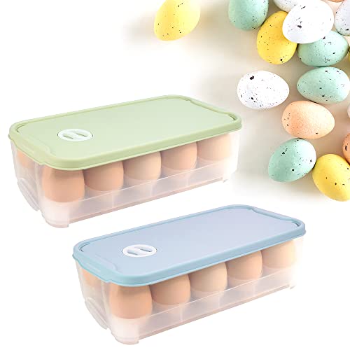 QINERSAW 2er Set Eierbox 10 Eier Eierbehälter mit Deckel Eieraufbewahrungsboxen für Kühlschrank Eier Transportbox Kunststoff von QINERSAW