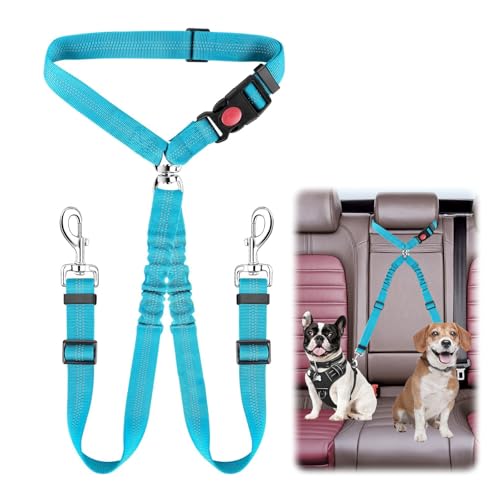 QINGYIWL Doppelter Anschnallgurt Hund Auto, 2 in 1 Verstellbarer Hundegurt fürs Auto, Sicherheitsgurt Hunde für Auto für Kleine & Mittlere Hunde (Blau) QINGYIWL Doppelter Anschnallgurt Hund Auto, 2 in 1 Verstellbarer Hundegurt fürs Auto, Sicherheitsgurt Hunde für Auto für Kleine & Mittlere Hunde (Blau) von QINGYIWL