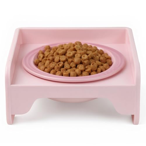 Erhöhter Futternapf Katze & Hundenapf aus Keramik mit Ständer, Futterstation für Katzen & Kleine Hunde, Katzenfutter Napf rutschfest, Fressnapf und Wassernapf von QINGZY