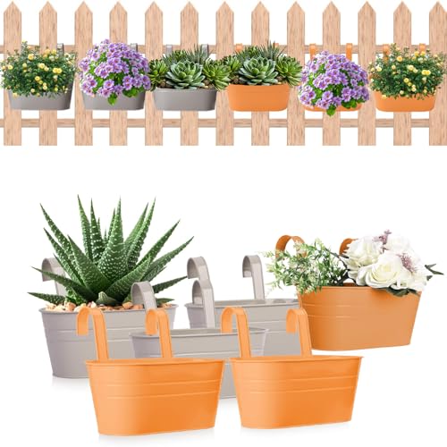 QIODAZOO Blumentopf Hängend, 6 PCS Hängetöpfe Metall mit Haken Pflanztopf Blumentopf, Blumenkasten Balkon Hängend für Garten, Balkon, Terrasse, Wohndekor QIODAZOO Blumentopf Hängend, 6 PCS Hängetöpfe Metall mit Haken Pflanztopf Blumentopf, Blumenkasten Balkon Hängend für Garten, Balkon, Terrasse, Wohndekor von QIODAZOO