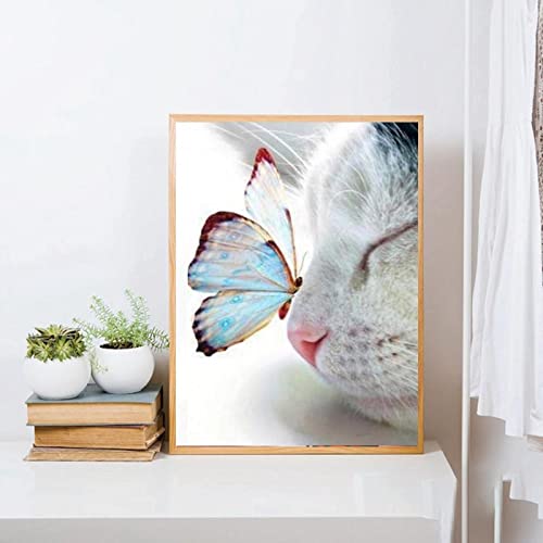 QITEX Wanddeko Wohnzimmer Niedliche weiße Katze und Schmetterling Poster Print Moderne Tier Katze Leinwand Bild Schmetterling auf der Spitze der Nase Wand Gemälde Bild Wohnzimmer Dekor 50x70cm von QITEX
