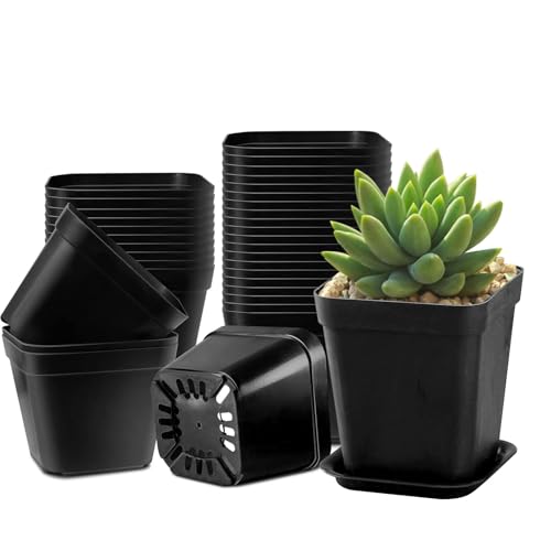 QITIXI:OU 30 Stück Pflanztöpfe, 7CM Anzuchttöpfe, Anzucht Ackig Klein Mit Untersetzer, Dickte Blumentöpfe, Kunststoff Vierkant Mini Töpfe Quadrate mit Abflusslöchern für Samen Sukkulenten (Black) von QITIXI:OU
