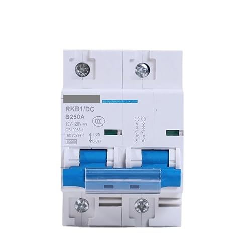 QIUSHIBO Leitungsschutzschalter 2P 63A 80A 100A 125A 150A 200A 250A DC-Leistungsschalter 12V 24V 48V 60V 72 96V Schutzschalter Circuit Breaker(125A) von QIUSHIBO