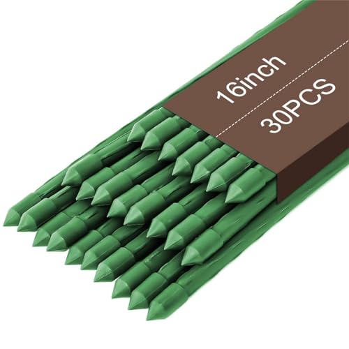 Gartenpflanzen Pfähle Pflanzenstäbe Rankhilfe 30 Stück Tomatenstäbe Kunststoff Beschichtetes Pflanzen Rankstab mit 15 Stück Pflanzstabverbinder für Gemüse，41CM von QIYILE