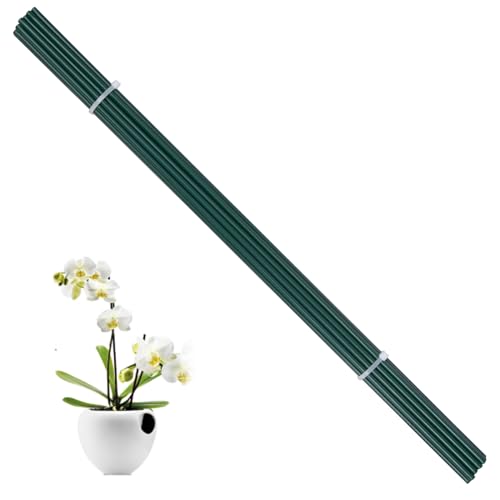 Pflanzenstützen Pflanzen Rankhilfe 20 Stück Grüne Pflanzstäbe Metall Blumenstütze Tomatenstangen Pflanzenhalter Gartenpfähle für Kletterpflanze Zimmerpflanzen Orchideen,40CM von QIYILE