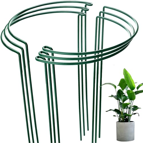 QIYILE Pflanze Stützpfähle 6 Stück Pflanzenstütze Metall Pflanzenstützstab Garten Unterstützt Halbrund Pflanze Rankhilfe Blumenstütze Pflanzenhalter für Topfpflanzen Pfingstrosen Hortensien Gemüse von QIYILE