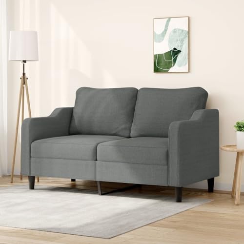 QJBSAVVA 2-Sitzer Sofa Dunkelgrau 140 cm Stoff Modernes Design mit Robustem Metallgestell Bequem & Langlebig für Wohnzimmer Balkon und Jugendzimmer von QJBSAVVA