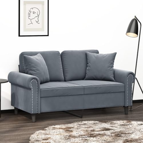 QJBSAVVA 2-Sitzer Sofa Dunkelgrau Modernes Samt Sofa mit Zierkissen Robustes Metallgestell Bequem für Wohnzimmer Balkon und Jugendzimmer von QJBSAVVA