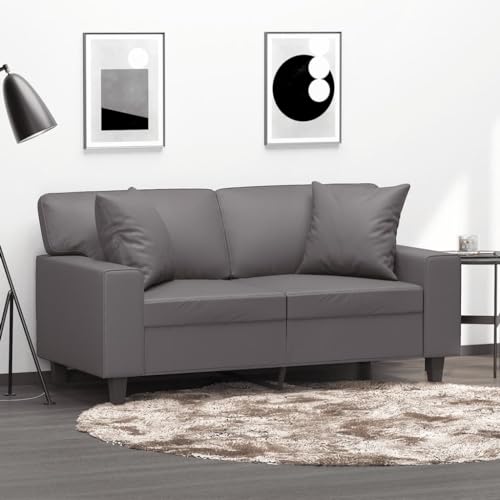 QJBSAVVA 2 Sitzer Sofa Grau Modernes Kunstleder Sofa mit Zierkissen 154 x 77 x 80 cm Bequem & Stabil für Wohnzimmer Balkon oder Jugendzimmer von QJBSAVVA