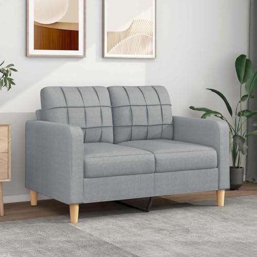 QJBSAVVA 2-Sitzer Sofa Hellgrau 120 cm Modernes Stoffsofa mit Robustem Metallgestell Bequeme Polsterung für Wohnzimmer Balkon oder Jugendzimmer von QJBSAVVA