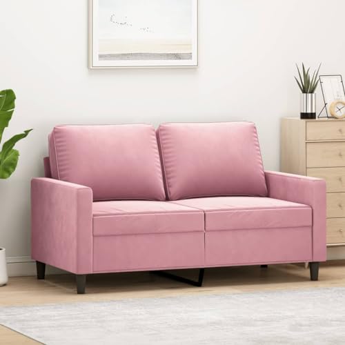 QJBSAVVA 2-Sitzer Sofa Rosa 120 cm Samt Modernes Design mit Robustem Metallgestell Bequeme Sitzfläche für Wohnzimmer und Jugendzimmer QJBSAVVA 2-Sitzer Sofa Rosa 120 cm Samt Modernes Design mit Robustem Metallgestell Bequeme Sitzfläche für Wohnzimmer und Jugendzimmer von QJBSAVVA