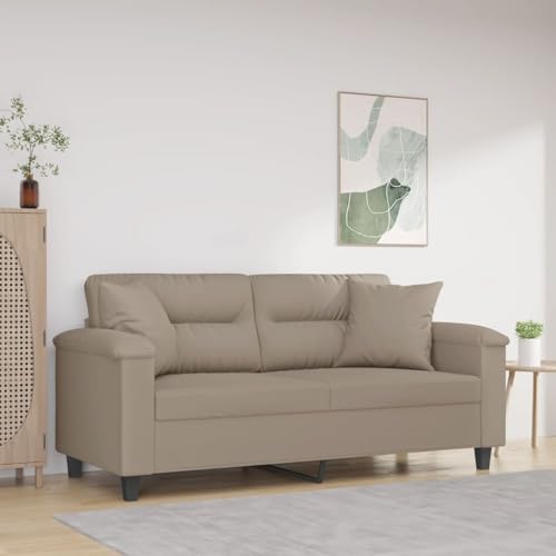 QJBSAVVA 2 Sitzer Sofa Taupe Modernes Design mit Zierkissen Mikrofasergewebe 170 x 77 x 80 cm Robustes Metallgestell Bequem für Wohnzimmer Balkon oder Jugendzimmer von QJBSAVVA