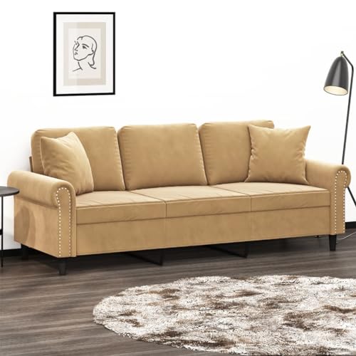 QJBSAVVA 3-Sitzer Sofa Braun Samt Modernes Design mit Zierkissen Robustes Metallgestell Bequem für Wohnzimmer Balkon und Gästezimmer von QJBSAVVA