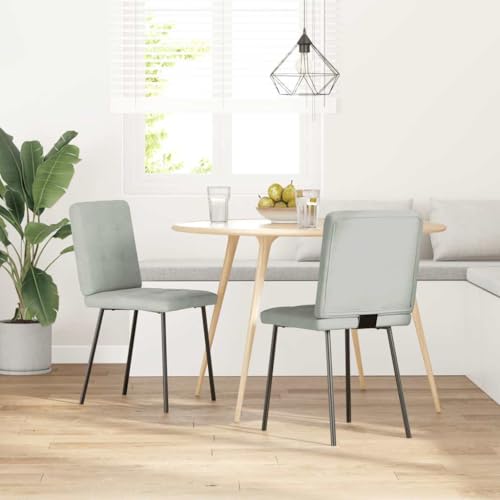 QJBSAVVA Armlehnstuhl Esszimmer Esszimmerstühle Gartenstühle Balkonstühle - Esszimmerstühle 2 STK. Hellgrau Samt für Wohnzimmer Esszimmer Arbeitszimmer Küche von QJBSAVVA