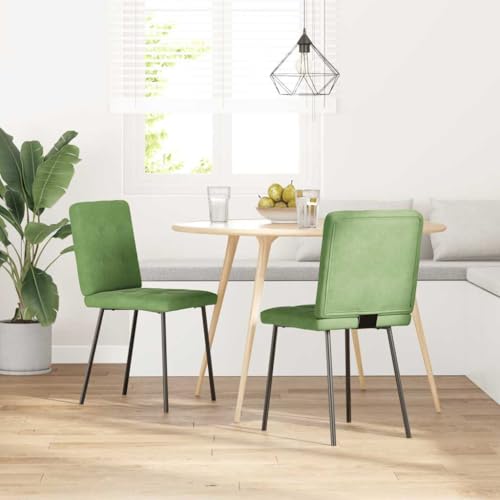 QJBSAVVA Armlehnstuhl Esszimmer Esszimmerstühle Gartenstühle Balkonstühle - Esszimmerstühle 2 STK. Hellgrün Samt für Wohnzimmer Esszimmer Arbeitszimmer Küche von QJBSAVVA
