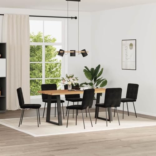 QJBSAVVA Armlehnstuhl Esszimmer Esszimmerstühle Gartenstühle Balkonstühle - Esszimmerstühle 6 STK. Schwarz Samt für Wohnzimmer Esszimmer Arbeitszimmer Küche von QJBSAVVA