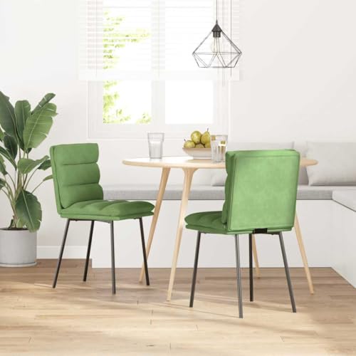 QJBSAVVA Armlehnstuhl Esszimmer Schminktisch Stuhl Esstisch Stühle Dining Chairs - Esszimmerstühle 2 STK. Hellgrün Samt für Esszimmer Garten Wohnzimmer Küche von QJBSAVVA