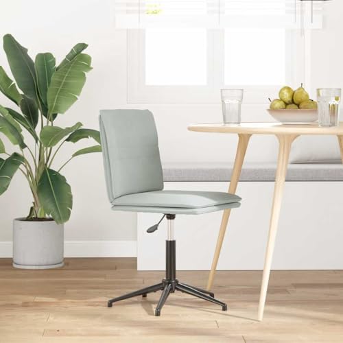 QJBSAVVA Armlehnstuhl Esszimmer Schminktisch Stuhl Küchenstühle Essstuhl - Esszimmerstuhl Hellgrau Samt für Garten Küche Esszimmer Wohnzimmer von QJBSAVVA