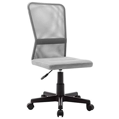 QJBSAVVA Bürostuhl Grau Drehstuhl mit Netzrückenlehne Höhenverstellbarer Schreibtischstuhl ohne Armlehnen 44x52x100 cm für Home Office und Arbeitszimmer von QJBSAVVA