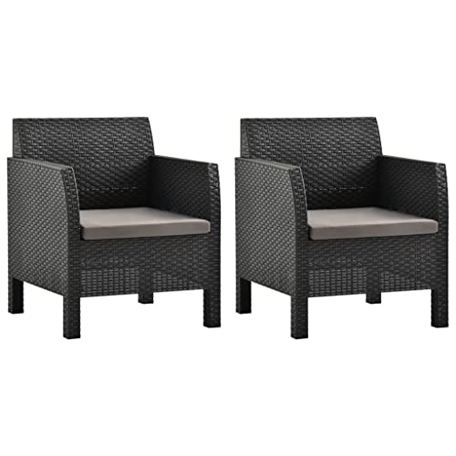 QJBSAVVA Gartenstühle mit Kissen 2er Set Anthrazit PP Rattan Outdoor Sessel mit Polster für Terrasse Balkon und Garten von QJBSAVVA