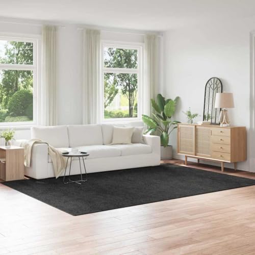 QJBSAVVA Moderner Bereichsteppich Anthrazit 240x340 cm Rechteckiger Teppich aus Polyester mit Mattem Finish für Wohnzimmer Schlafzimmer und Flur von QJBSAVVA