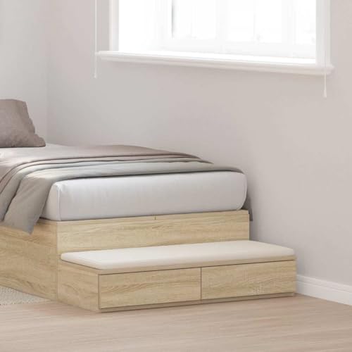 QJBSAVVA Nachttisch Modernes Design Braun Spanplatte mit 2 Schubladen Stauraum Schlafzimmer Kommode Beistelltisch von QJBSAVVA