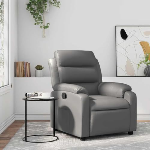 QJBSAVVA Relaxsessel Grau Kunstleder mit Manueller Liegefunktion Bequemer Loungesessel für Wohnzimmer Schlafzimmer und Balkon 75 x 92.5 x 100 cm QJBSAVVA Relaxsessel Grau Kunstleder mit Manueller Liegefunktion Bequemer Loungesessel für Wohnzimmer Schlafzimmer und Balkon 75 x 92.5 x 100 cm von QJBSAVVA