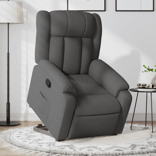 QJBSAVVA Relaxsessel mit elektrischer Aufstehhilfe Dunkelgrau Stoff Manuelle Liegefunktion bis 135° Bequemer Loungesessel für Wohnzimmer Schlafzimmer und Balkon QJBSAVVA Relaxsessel mit elektrischer Aufstehhilfe Dunkelgrau Stoff Manuelle Liegefunktion bis 135° Bequemer Loungesessel für Wohnzimmer Schlafzimmer und Balkon von QJBSAVVA