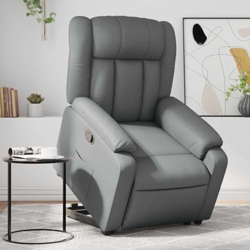 QJBSAVVA Relaxsessel mit elektrischer Aufstehhilfe Grau Kunstleder 78 x 92 x 98 cm Manuelle Liegefunktion bis 135° Bequemer Loungesessel für Wohnzimmer Schlafzimmer und Balkon QJBSAVVA Relaxsessel mit elektrischer Aufstehhilfe Grau Kunstleder 78 x 92 x 98 cm Manuelle Liegefunktion bis 135° Bequemer Loungesessel für Wohnzimmer Schlafzimmer und Balkon von QJBSAVVA