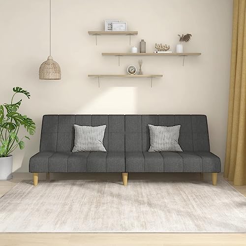 QJBSAVVA Schlafsofa 2 Sitzer Dunkelgrau Stoff Sofa Couch mit Schlaffunktion Ausziehbares Gästebett für Wohnzimmer und kleine Räume QJBSAVVA Schlafsofa 2 Sitzer Dunkelgrau Stoff Sofa Couch mit Schlaffunktion Ausziehbares Gästebett für Wohnzimmer und kleine Räume von QJBSAVVA