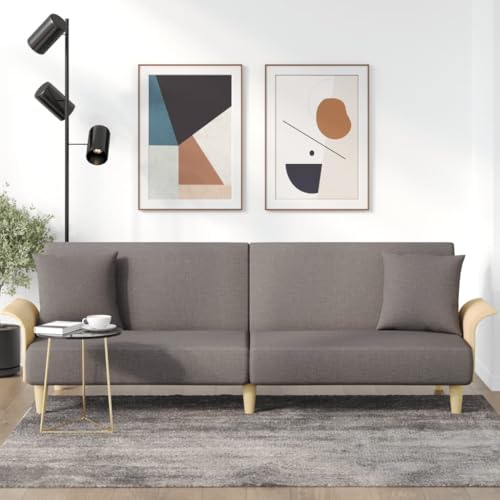QJBSAVVA Schlafsofa Taupe Stoff 224 cm Breite mit Verstellbarer Rückenlehne und 2 Kissen Bequemes Gästebett und Sitzgelegenheit für Wohnzimmer und Gästezimmer von QJBSAVVA