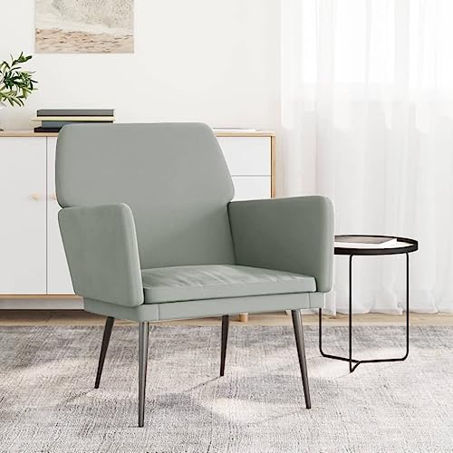 QJBSAVVA Sessel Hellgrau Samt Relaxsessel mit Metallgestell 62x79x79 cm Bequemer Loungesessel für Wohnzimmer Schlafzimmer und Balkon von QJBSAVVA