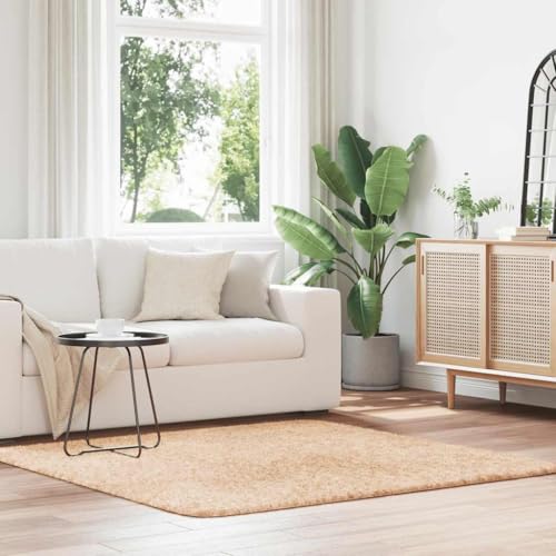 QJBSAVVA Shaggy Teppich Hochflor NAVARRA Beige 160x160 cm Robuster Wohnzimmerteppich aus 100% Polyester mit Rutschfester Unterseite für Schlafzimmer Balkon und Garten QJBSAVVA Shaggy Teppich Hochflor NAVARRA Beige 160x160 cm Robuster Wohnzimmerteppich aus 100% Polyester mit Rutschfester Unterseite für Schlafzimmer Balkon und Garten von QJBSAVVA