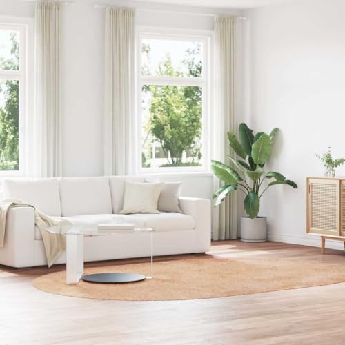 QJBSAVVA Shaggy Teppich Hochflor NAVARRA Beige 300x200 cm Oval Robuster & Pflegeleichter Wohnzimmerteppich mit Rutschfester Unterseite für Balkon Schlafzimmer und Büro QJBSAVVA Shaggy Teppich Hochflor NAVARRA Beige 300x200 cm Oval Robuster & Pflegeleichter Wohnzimmerteppich mit Rutschfester Unterseite für Balkon Schlafzimmer und Büro von QJBSAVVA