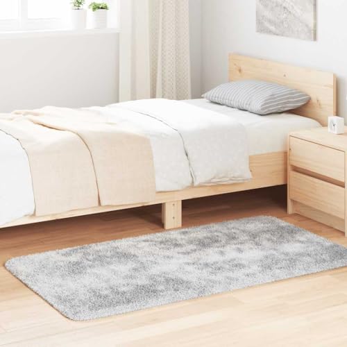 QJBSAVVA Shaggy Teppich Hochflor NAVARRA Silbergrau 80x150 cm Robuster & Pflegeleichter Wohnzimmerteppich aus 100% Polyester mit Rutschfester Unterseite für Balkon Schlafzimmer und Büro QJBSAVVA Shaggy Teppich Hochflor NAVARRA Silbergrau 80x150 cm Robuster & Pflegeleichter Wohnzimmerteppich aus 100% Polyester mit Rutschfester Unterseite für Balkon Schlafzimmer und Büro von QJBSAVVA