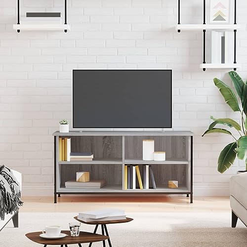 QJBSAVVA TV-Schrank Grau Sonoma 100x40x50 cm aus Holzwerkstoff mit Eisenbeinen - Modernes Lowboard für Wohnzimmer mit 4 offenen Fächern QJBSAVVA TV-Schrank Grau Sonoma 100x40x50 cm aus Holzwerkstoff mit Eisenbeinen - Modernes Lowboard für Wohnzimmer mit 4 offenen Fächern von QJBSAVVA