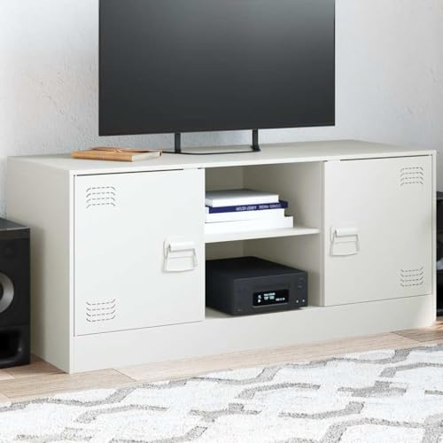 QJBSAVVA TV-Schrank aus kaltgewalztem Stahl Weiß Modernes Design mit 2 Fächern und Griffen Stabiles Lowboard für Wohnzimmer von QJBSAVVA