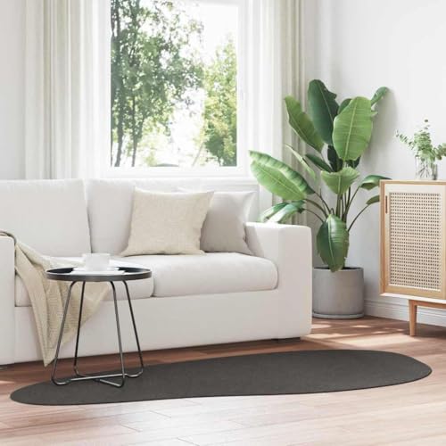 QJBSAVVA Teppich Anthrazit 100 x 200 cm Moderner Läufer mit Matte Oberfläche aus Robustem Polyester für Wohnzimmer Schlafzimmer und Flur von QJBSAVVA