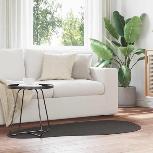 QJBSAVVA Teppich Anthrazit 80 x 150 cm Moderne Läufer mit Matte Oberfläche Robuster Polyester für Wohnzimmer Schlafzimmer und Flur von QJBSAVVA