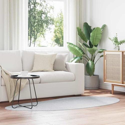 QJBSAVVA Teppich Grau 100 x 200 cm Polyester mit Matter Oberfläche Moderner Läufer für Wohnzimmer Flur und Schlafzimmer Weich und Langlebig von QJBSAVVA