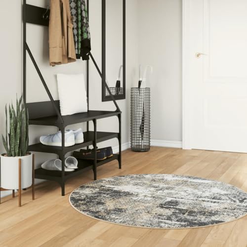 QJBSAVVA Teppich Moderner Samt Teppich Ø 120 cm Weich rutschfest Geräuschdämmend Mehrfarbig Maschinenwaschbar für Wohnzimmer Schlafzimmer Flur von QJBSAVVA