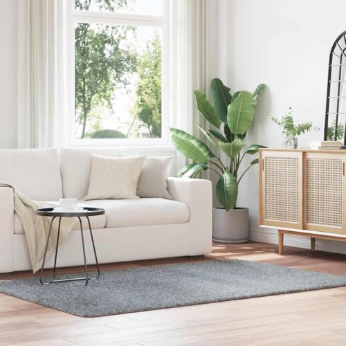 QJBSAVVA Teppich Shaggy Hochflor NAVARRA Hellgrau 130x200 cm Polyester Robuster und Bequemer Wohnzimmerteppich mit Rutschfester Unterseite für Schlafzimmer Balkon und Garten von QJBSAVVA