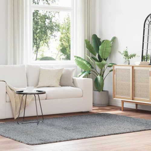 QJBSAVVA Teppich Shaggy Hochflor NAVARRA Hellgrau 160x230 cm Polyester Robuster und Bequemer Wohnzimmerteppich mit Rutschfester Unterseite für Schlafzimmer Balkon und Garten QJBSAVVA Teppich Shaggy Hochflor NAVARRA Hellgrau 160x230 cm Polyester Robuster und Bequemer Wohnzimmerteppich mit Rutschfester Unterseite für Schlafzimmer Balkon und Garten von QJBSAVVA