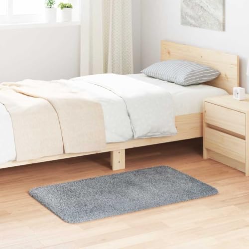 QJBSAVVA Teppich Shaggy Hochflor NAVARRA Hellgrau 60x100 cm Polyester Robuster & Bequemer Wohnzimmerteppich mit Rutschfester Unterseite für Balkon Schlafzimmer und Flur QJBSAVVA Teppich Shaggy Hochflor NAVARRA Hellgrau 60x100 cm Polyester Robuster & Bequemer Wohnzimmerteppich mit Rutschfester Unterseite für Balkon Schlafzimmer und Flur von QJBSAVVA