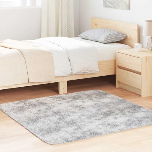 QJBSAVVA Teppich Shaggy Hochflor NAVARRA Silbergrau 120x120 cm Polyester Robuster und Bequemer Wohnzimmerteppich mit Rutschfester Unterseite für Balkon Schlafzimmer und Büro QJBSAVVA Teppich Shaggy Hochflor NAVARRA Silbergrau 120x120 cm Polyester Robuster und Bequemer Wohnzimmerteppich mit Rutschfester Unterseite für Balkon Schlafzimmer und Büro von QJBSAVVA