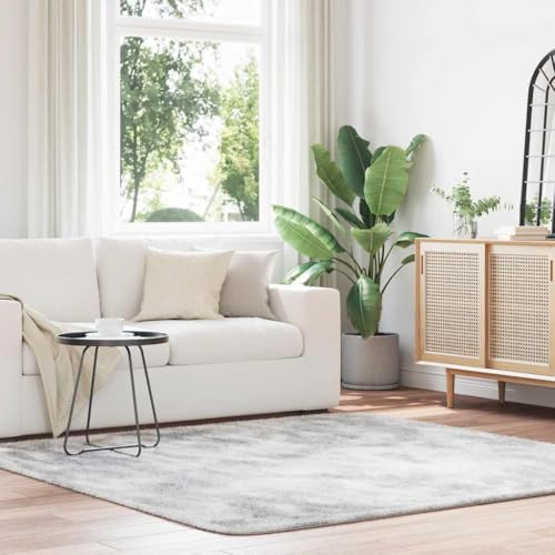 QJBSAVVA Teppich Shaggy Hochflor NAVARRA Silbergrau 200x200 cm Polyester Robuster und Bequemer Wohnzimmerteppich mit Rutschfester Unterseite für Balkon Schlafzimmer und Büro QJBSAVVA Teppich Shaggy Hochflor NAVARRA Silbergrau 200x200 cm Polyester Robuster und Bequemer Wohnzimmerteppich mit Rutschfester Unterseite für Balkon Schlafzimmer und Büro von QJBSAVVA