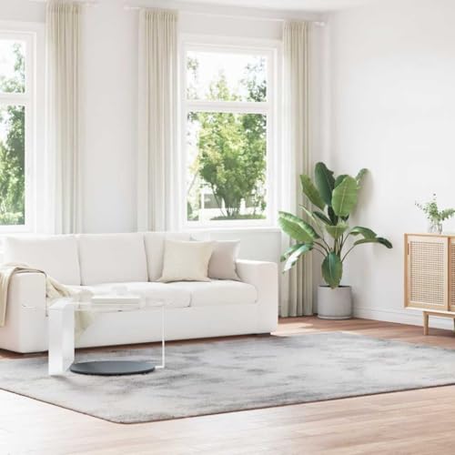 QJBSAVVA Teppich Shaggy Hochflor NAVARRA Silbergrau 240x340 cm Polyester Robuster & Bequemer Wohnzimmerteppich mit Rutschfester Unterseite für Balkon Schlafzimmer und Büro QJBSAVVA Teppich Shaggy Hochflor NAVARRA Silbergrau 240x340 cm Polyester Robuster & Bequemer Wohnzimmerteppich mit Rutschfester Unterseite für Balkon Schlafzimmer und Büro von QJBSAVVA
